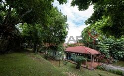 Holland Avenue (D10), Detached #514174591